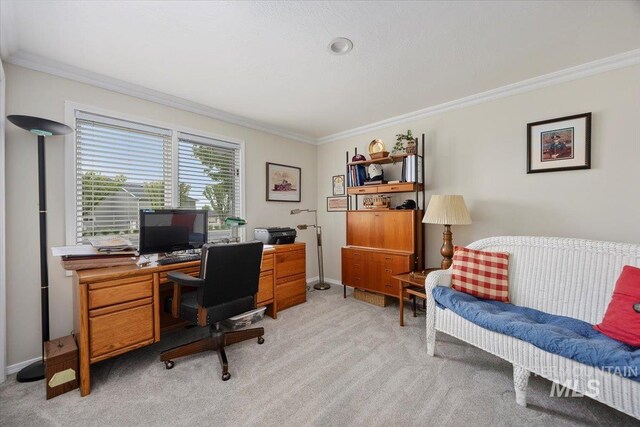 office space with crown molding, light carpet, and baseboards
