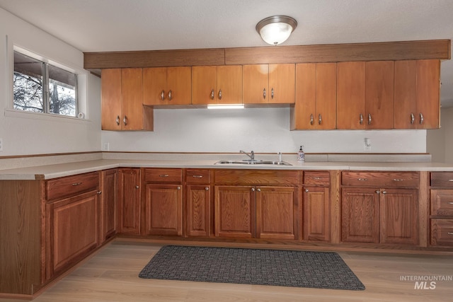 kitchen featuring light countertops, light wood-style flooring, brown cabinetry, and a sink