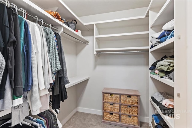 1765 E Bergeson St, Boise, ID 83706 - walk in closet with carpet floors