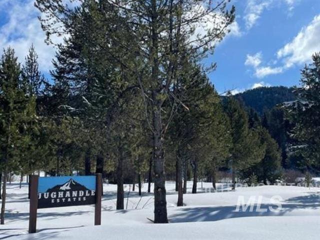 111 Jughandle Dr, Mccall, ID 83638