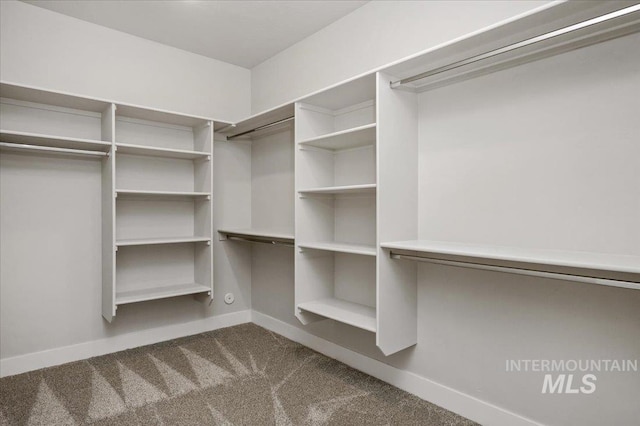 spacious closet featuring dark carpet