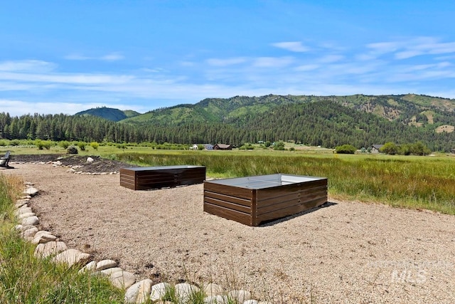15 Alder Creek Ln, Garden Valley, ID 83622 - view of mountain backdrop with a heavily wooded area