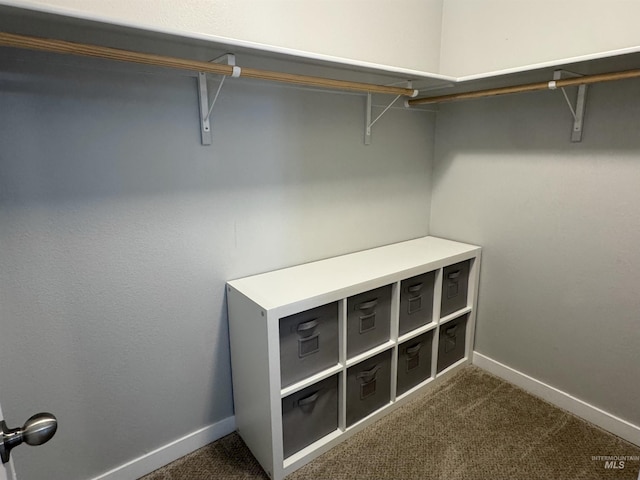 4446 S Carina Way, Meridian, ID 83642 - spacious closet with dark carpet