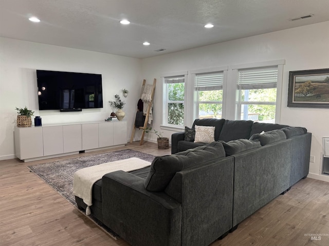 4446 S Carina Way, Meridian, ID 83642 - living area featuring light wood-style flooring, baseboards, and recessed lighting