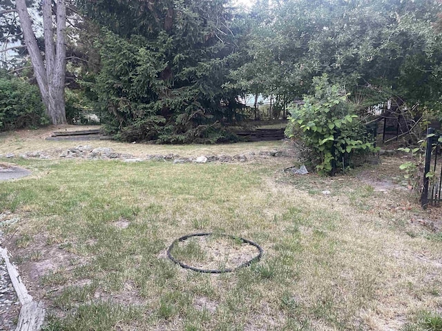 833 N Cleveland St, Moscow, ID 83843 - view of grassy yard