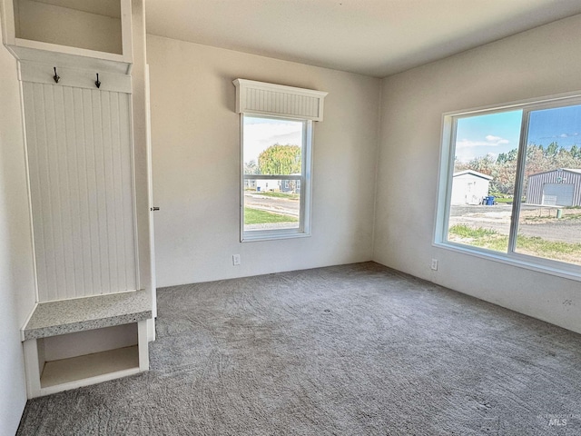 150 Sunset Dr N, Hagerman, ID 83332 - mudroom featuring carpet and plenty of natural light