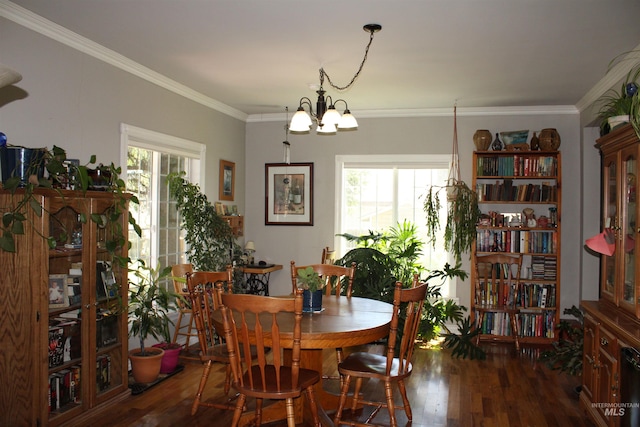 dining room featuring a healthy amount of sunlight, wood-type flooring, crown molding, and an inviting chandelier