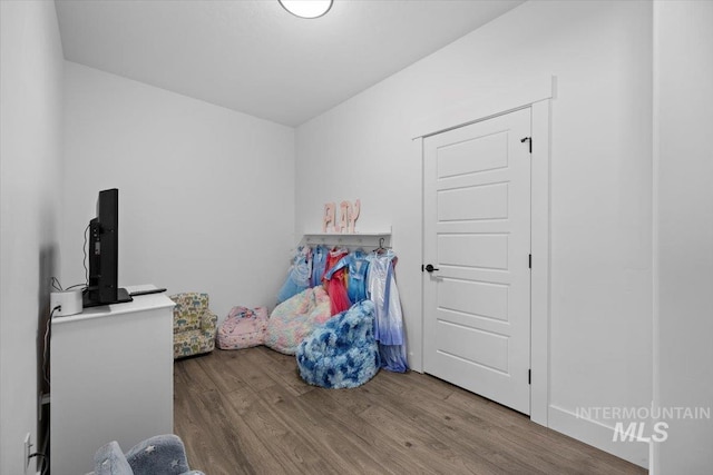 bedroom featuring wood-type flooring