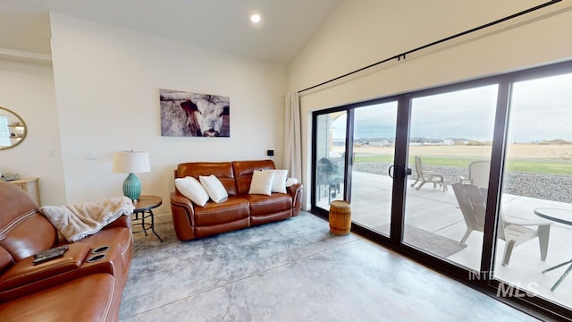 living room featuring lofted ceiling