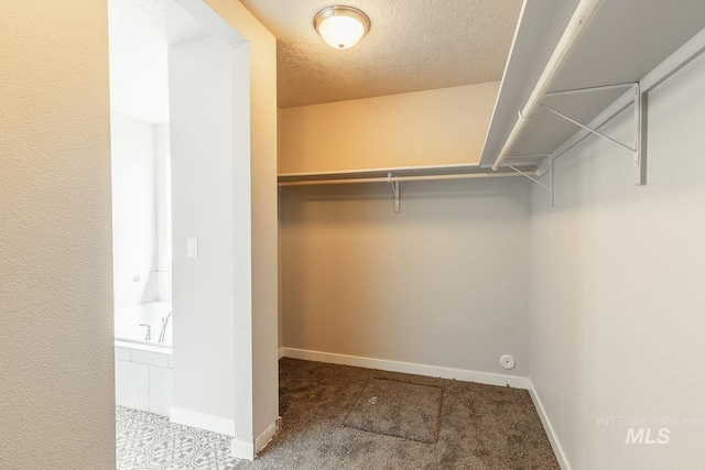 walk in closet with carpet floors