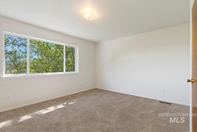 975 W Meander Ct, Eagle, ID 83616 - empty room featuring carpet floors and baseboards