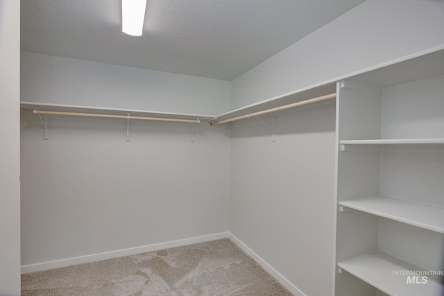 spacious closet with carpet floors