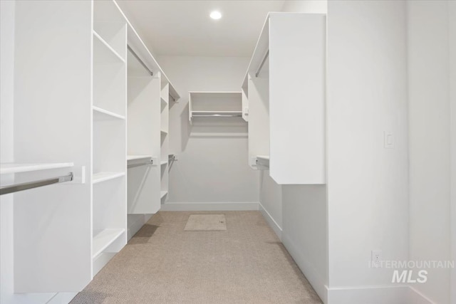 walk in closet featuring light carpet