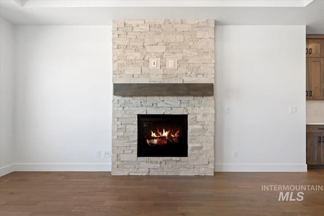 interior details featuring a stone fireplace and wood-type flooring