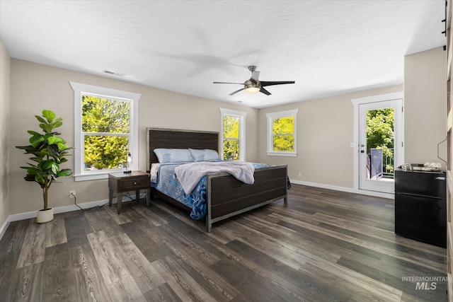 12384 S Abbott Downing Way, Nampa, ID 83686 - bedroom with multiple windows, dark wood-style floors, baseboards, access to exterior, and a textured ceiling
