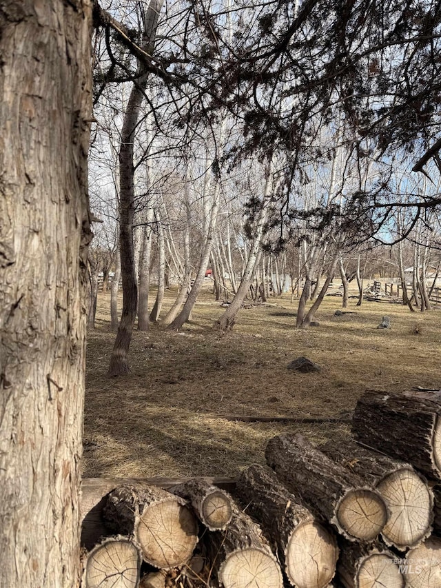 view of nature
