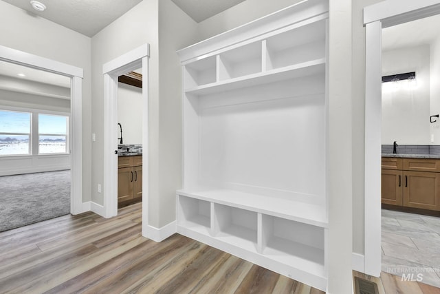 mudroom featuring light hardwood / wood-style flooring