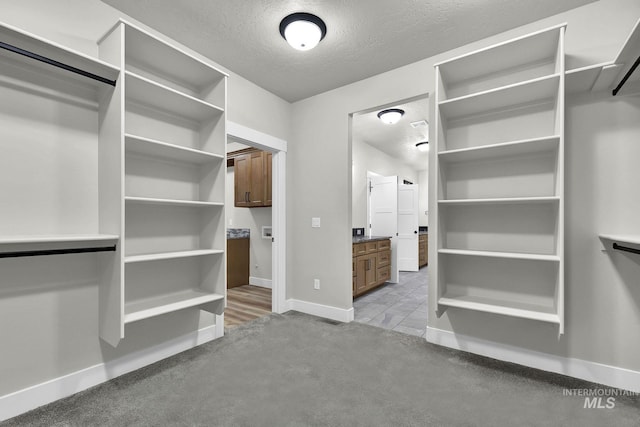 spacious closet with light colored carpet