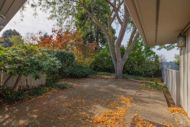 view of yard featuring a patio