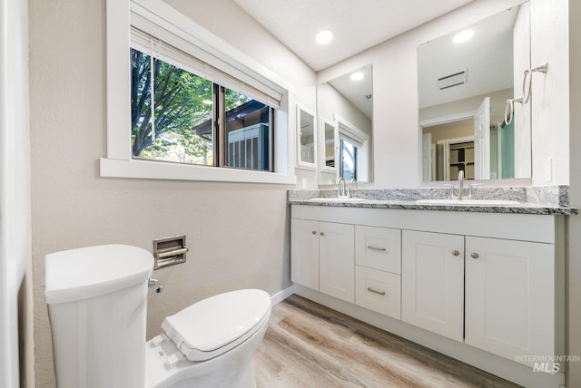 bathroom with toilet, vanity, and wood-type flooring