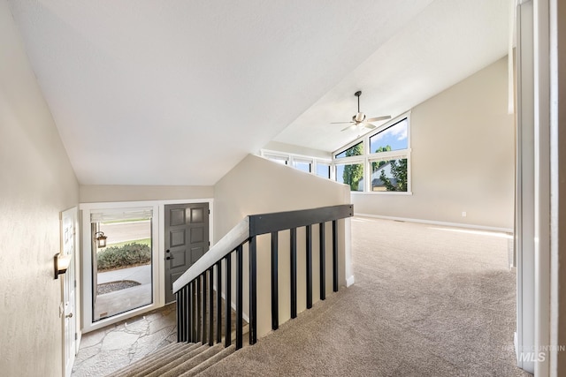 stairs with lofted ceiling, carpet, and ceiling fan