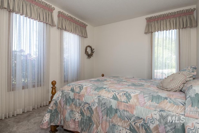 2555 E Quail Run Rd, Emmett, ID 83617 - view of carpeted bedroom