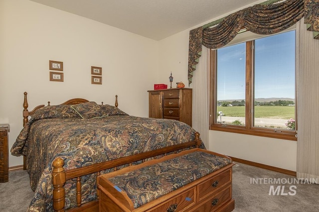 2555 E Quail Run Rd, Emmett, ID 83617 - carpeted bedroom with baseboards
