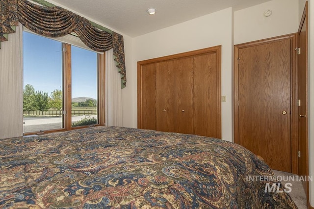 2555 E Quail Run Rd, Emmett, ID 83617 - view of bedroom