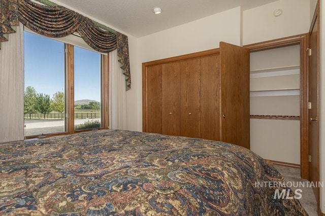 2555 E Quail Run Rd, Emmett, ID 83617 - bedroom with carpet, access to outside, and a closet