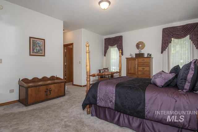 2555 E Quail Run Rd, Emmett, ID 83617 - bedroom with multiple windows, carpet floors, and baseboards