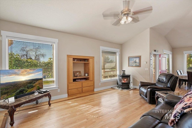 living area with a wood stove, light wood-type flooring, and a wealth of natural light