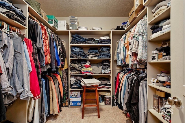 walk in closet featuring carpet flooring