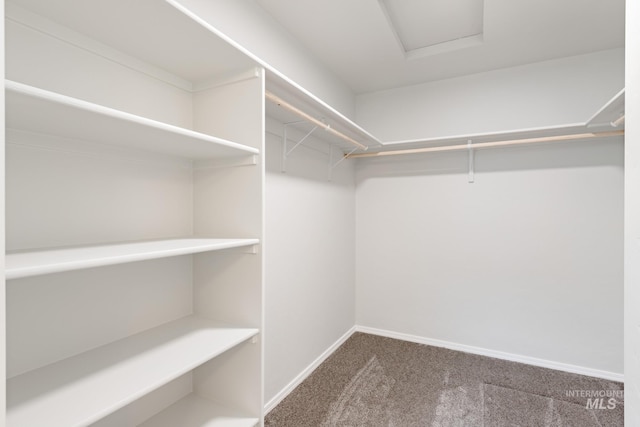 walk in closet with carpet