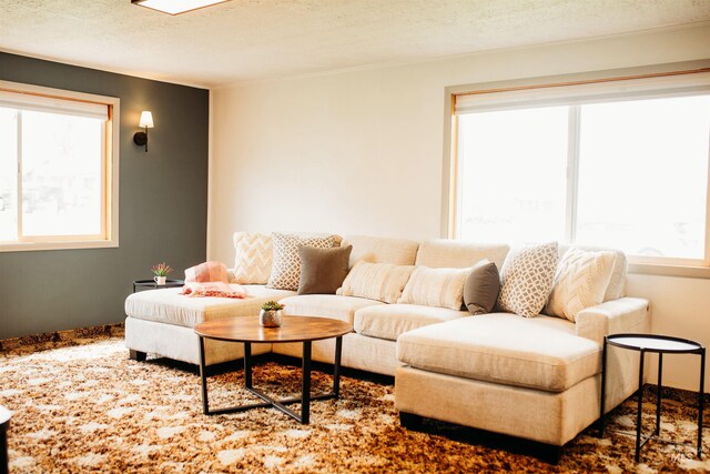 421 Hill St, Grangeville, ID 83530 - living room with plenty of natural light, a textured ceiling, and baseboards