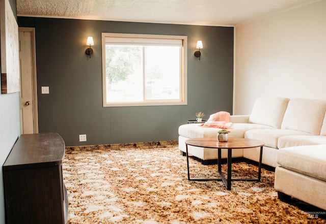 421 Hill St, Grangeville, ID 83530 - carpeted living room featuring ornamental molding