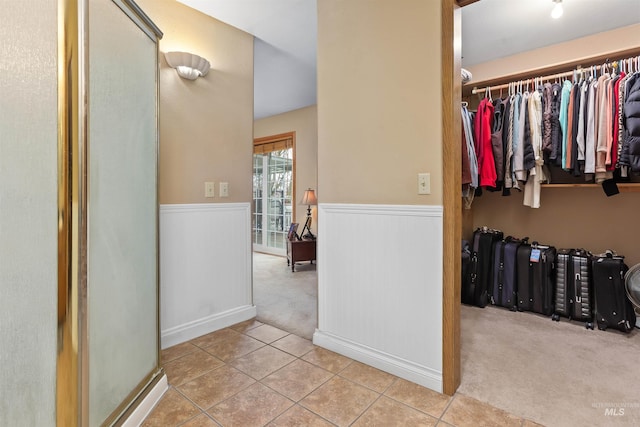 walk in closet with light colored carpet