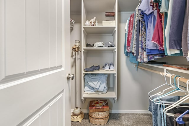 spacious closet with carpet