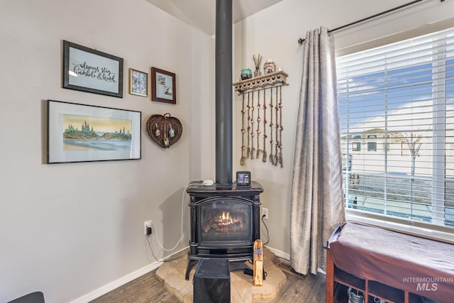 room details featuring hardwood / wood-style flooring and a wood stove