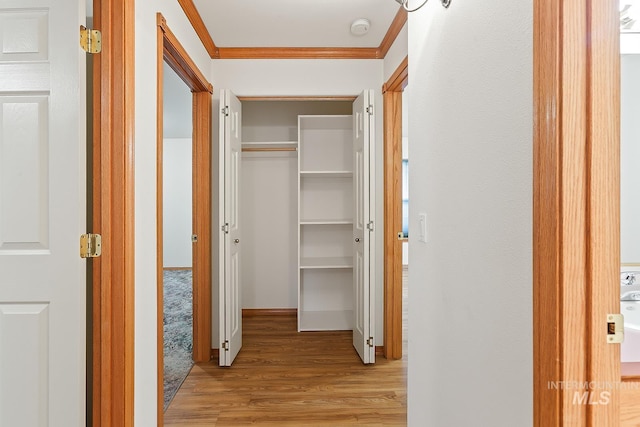 corridor with light hardwood / wood-style flooring and crown molding