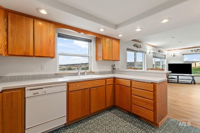 kitchen with white dishwasher, sink, dark hardwood / wood-style floors, and a healthy amount of sunlight