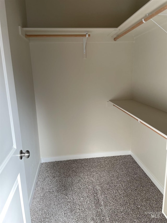 spacious closet with carpet flooring