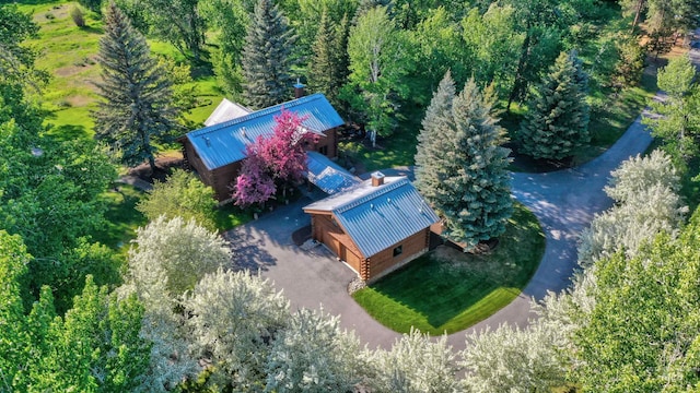 1301 Glen Aspen Dr, Bellevue, ID 83313 - view of subject property featuring a forest