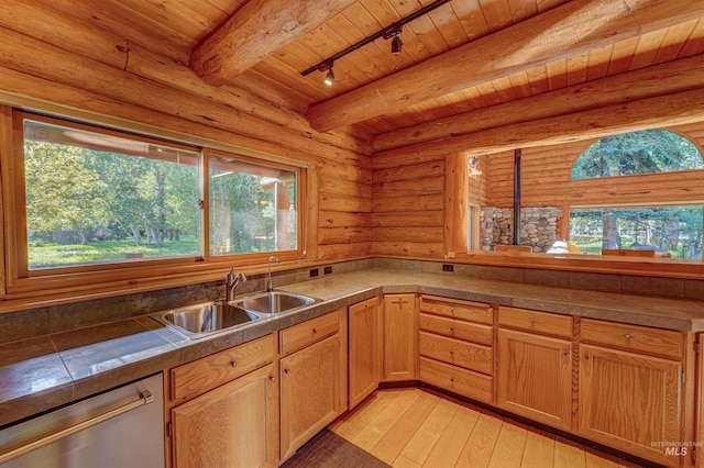 1301 Glen Aspen Dr, Bellevue, ID 83313 - kitchen featuring a sink, stainless steel dishwasher, plenty of natural light, wooden ceiling with exposed beams, and light wood-style floors