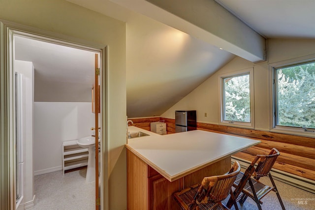 1301 Glen Aspen Dr, Bellevue, ID 83313 - bar featuring a sink, light carpet, freestanding refrigerator, and baseboard heating