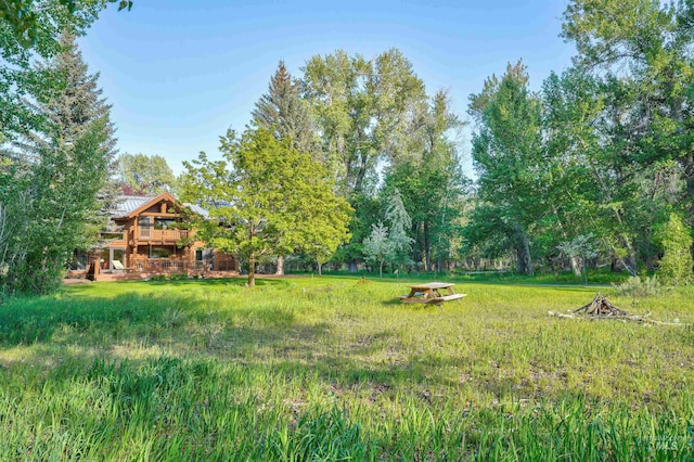 1301 Glen Aspen Dr, Bellevue, ID 83313 - view of yard