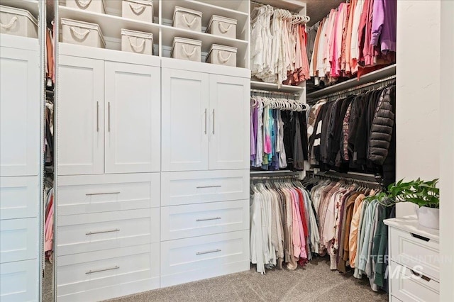 walk in closet with light carpet