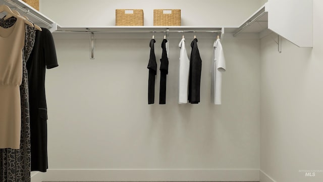 view of spacious closet