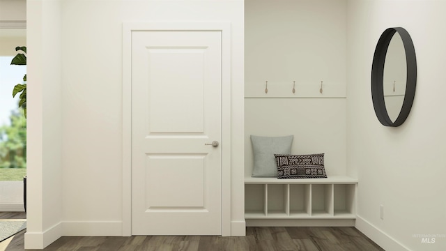 mudroom featuring dark hardwood / wood-style flooring