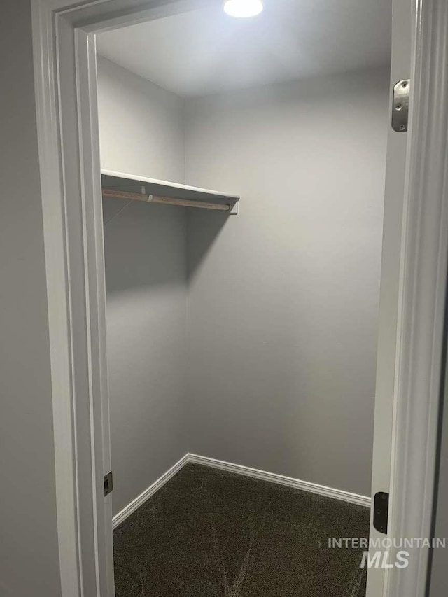 walk in closet featuring carpet flooring