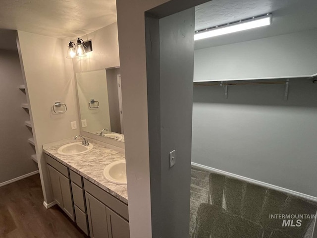 bathroom featuring double vanity, a spacious closet, and a sink